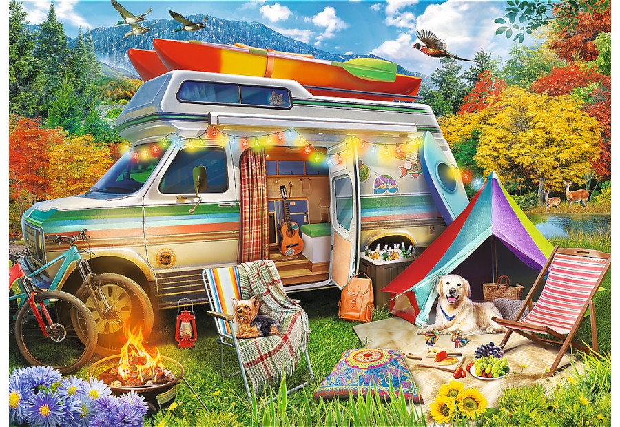 Camper Van