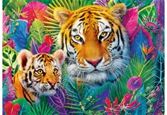 Tigers in the Jungle