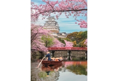 Himeji Castle in Spring
