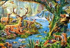 Forest Life