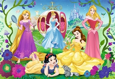 Disney Princesses (Glitter)