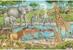 African Wildlife