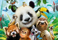 Animal Fun