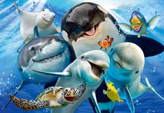 Underwater Friends