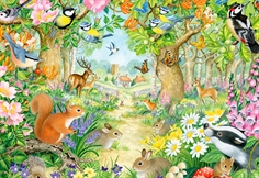 Animals in the Forest