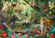 Colourful Jungle Wildlife