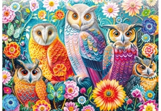 Owls and Flowers