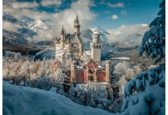 Neuschwanstein Castle in Winter