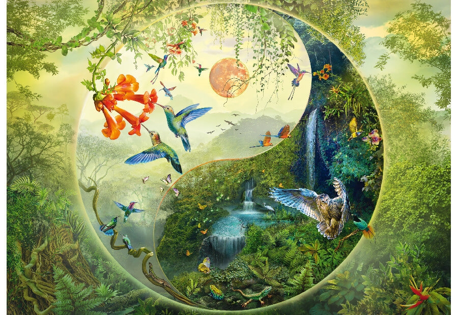 Yin & Yang: In the Forest of Hummingbirds