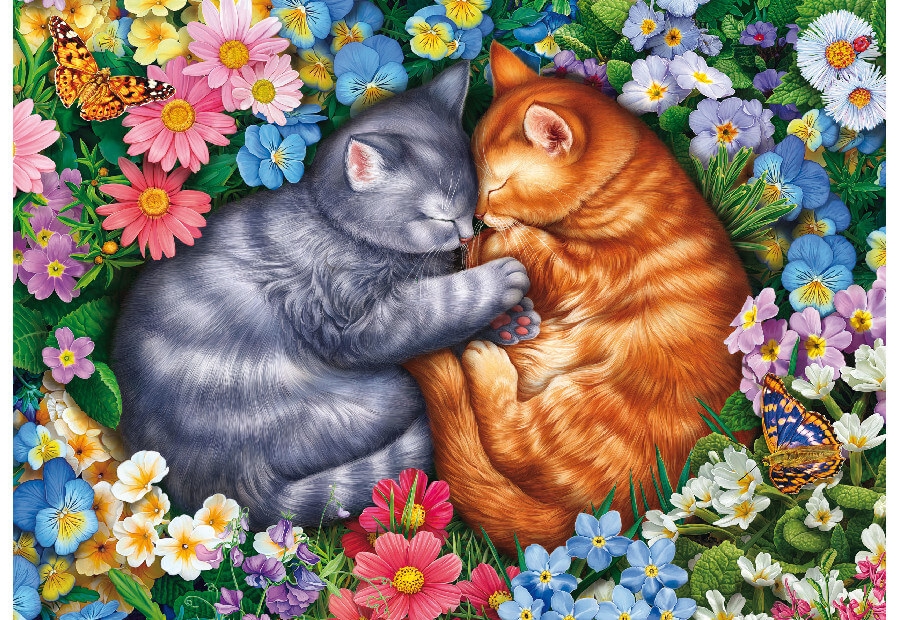 Sleeping Velvet Paws