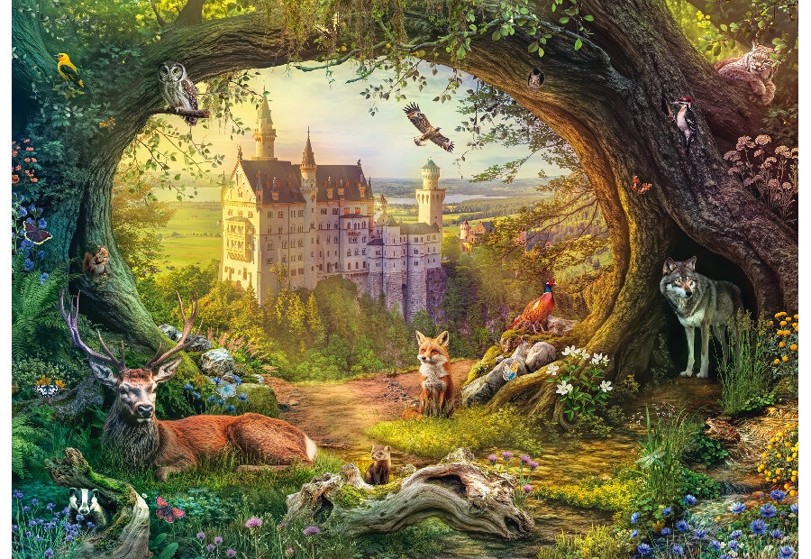 Fairy Tale Castle and Forest Magic