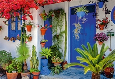 Mediterranean Door