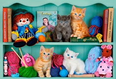 Kitten Shelves