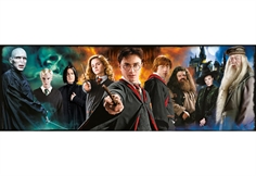 Harry Potter Panorama Collection