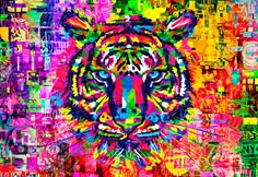 Wonderful Tiger