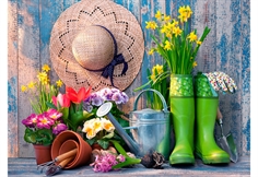 Ready for the Garden