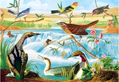 Harmony of Birds and Stream