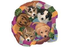 Litter of Puppies