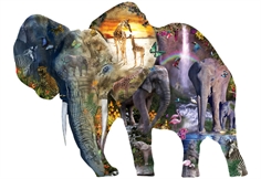Elephant Waterfall