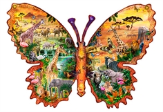 African Butterfly