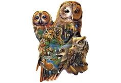 Forest Owls