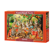 Puslespil 3000 brikker